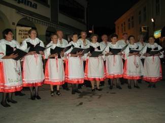 Rasplesani Česi i Slovaci oraspoložili okupljene (video)