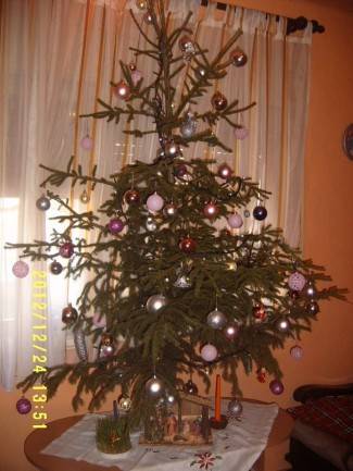 Vaše fotografije: Božić u domovima požeške županije