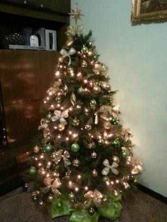 Vaše fotografije: Božić u domovima požeške županije