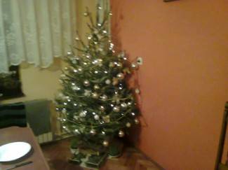 Vaše fotografije: Božić u domovima požeške županije