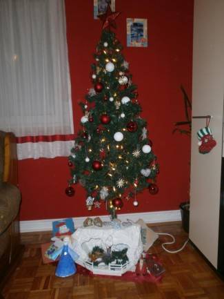 Vaše fotografije: Božić u domovima požeške županije