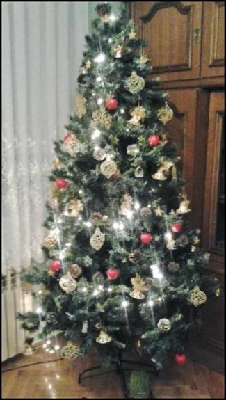 Vaše fotografije: Božić u domovima požeške županije