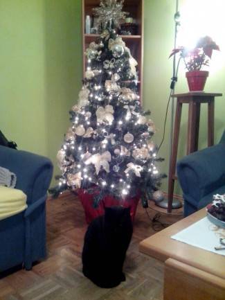 Vaše fotografije: Božić u domovima požeške županije