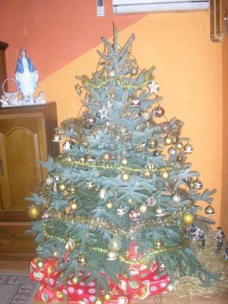 Vaše fotografije: Božić u domovima požeške županije