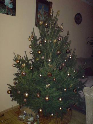 Vaše fotografije: Božić u domovima požeške županije