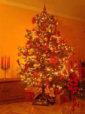 Vaše fotografije: Božić u domovima požeške županije