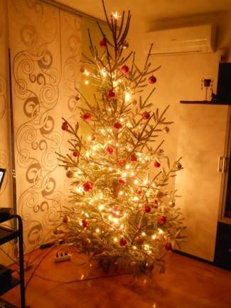 Vaše fotografije: Božić u domovima požeške županije