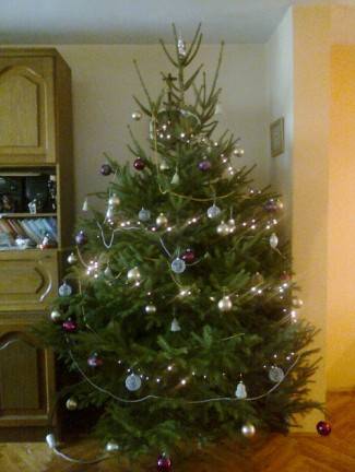 Vaše fotografije: Božić u domovima požeške županije