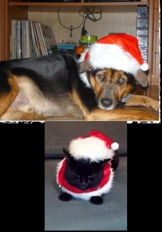 Vaše fotografije: Božić u domovima požeške županije