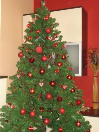 Vaše fotografije: Božić u domovima požeške županije