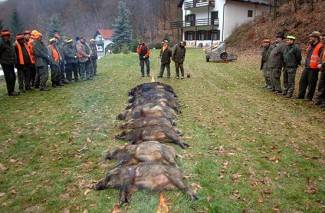 Novogodišnji lov u Dubokoj