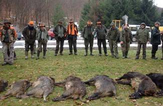 Novogodišnji lov u Dubokoj