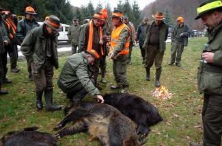 Novogodišnji lov u Dubokoj