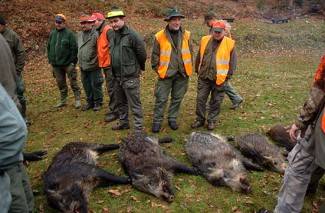 Novogodišnji lov u Dubokoj