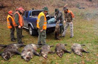 Novogodišnji lov u Dubokoj