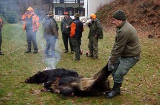 Novogodišnji lov u Dubokoj