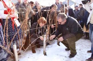 Kutjevački vinari pozivaju na proslavu Vincelova