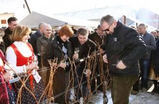 Kutjevački vinari pozivaju na proslavu Vincelova