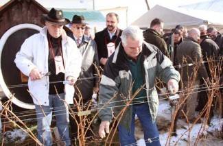 Kutjevački vinari pozivaju na proslavu Vincelova