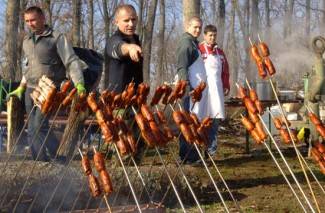 Vincelovo kod vinogradara diljem Požeštine