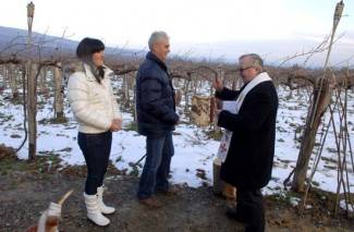 Vincelovo kod vinogradara diljem Požeštine