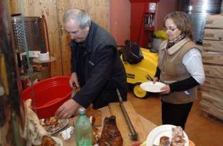 Vincelovo kod vinogradara diljem Požeštine