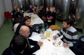 Vincelovo kod vinogradara diljem Požeštine