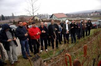 Vincelovo kod vinogradara Požeštine, 2. dio