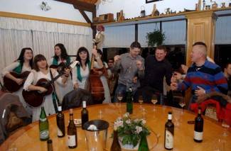 Vincelovo kod vinogradara Požeštine, 2. dio