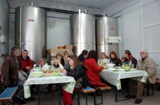 Vincelovo kod vinogradara Požeštine, 2. dio