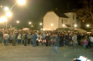 Vinkovo u Velikoj 2013.