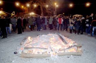 Vinkovo u Velikoj 2013.