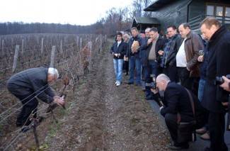 Vincelovo kod vinogradara Požeštine, 3. dio