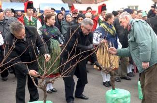 Zeleno i plavo: Vincelovo u Požegi 2013.