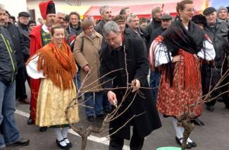 Zeleno i plavo: Vincelovo u Požegi 2013.