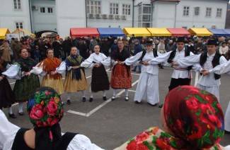 Zeleno i plavo: Vincelovo u Požegi 2013.
