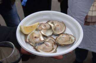 Zeleno i plavo: Vincelovo u Požegi 2013.