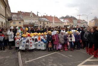 Požeške maškare 2013.