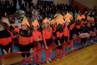 Požeške maškare 2013.