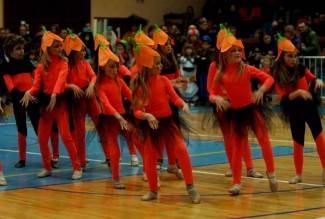 Požeške maškare 2013.