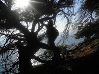 Požeške Robinzonke: Bez TV-a i civilizacije je prekrasno!