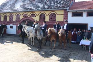 Pokladno jahanje od Drenovca do Zagrađa