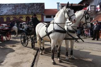 Pokladno jahanje od Drenovca do Zagrađa