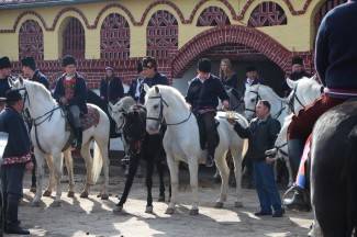 Pokladno jahanje od Drenovca do Zagrađa