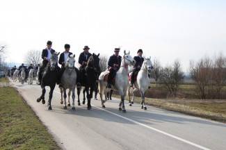Pokladno jahanje od Drenovca do Zagrađa