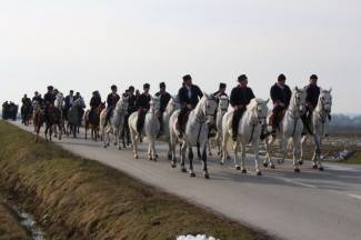 Pokladno jahanje od Drenovca do Zagrađa