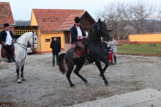Pokladno jahanje od Drenovca do Zagrađa