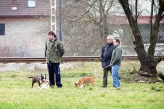 Subotnja šetnja gradom: Požega, 2.3.2013.