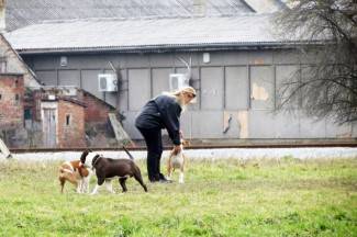 Subotnja šetnja gradom: Požega, 2.3.2013.