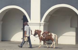 Subotnja šetnja gradom: Požega 30.7.2011.